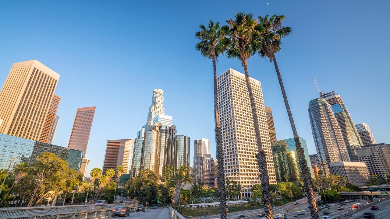 Palm-lined city street with tall buildings